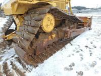 Caterpillar 