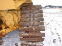 Caterpillar 